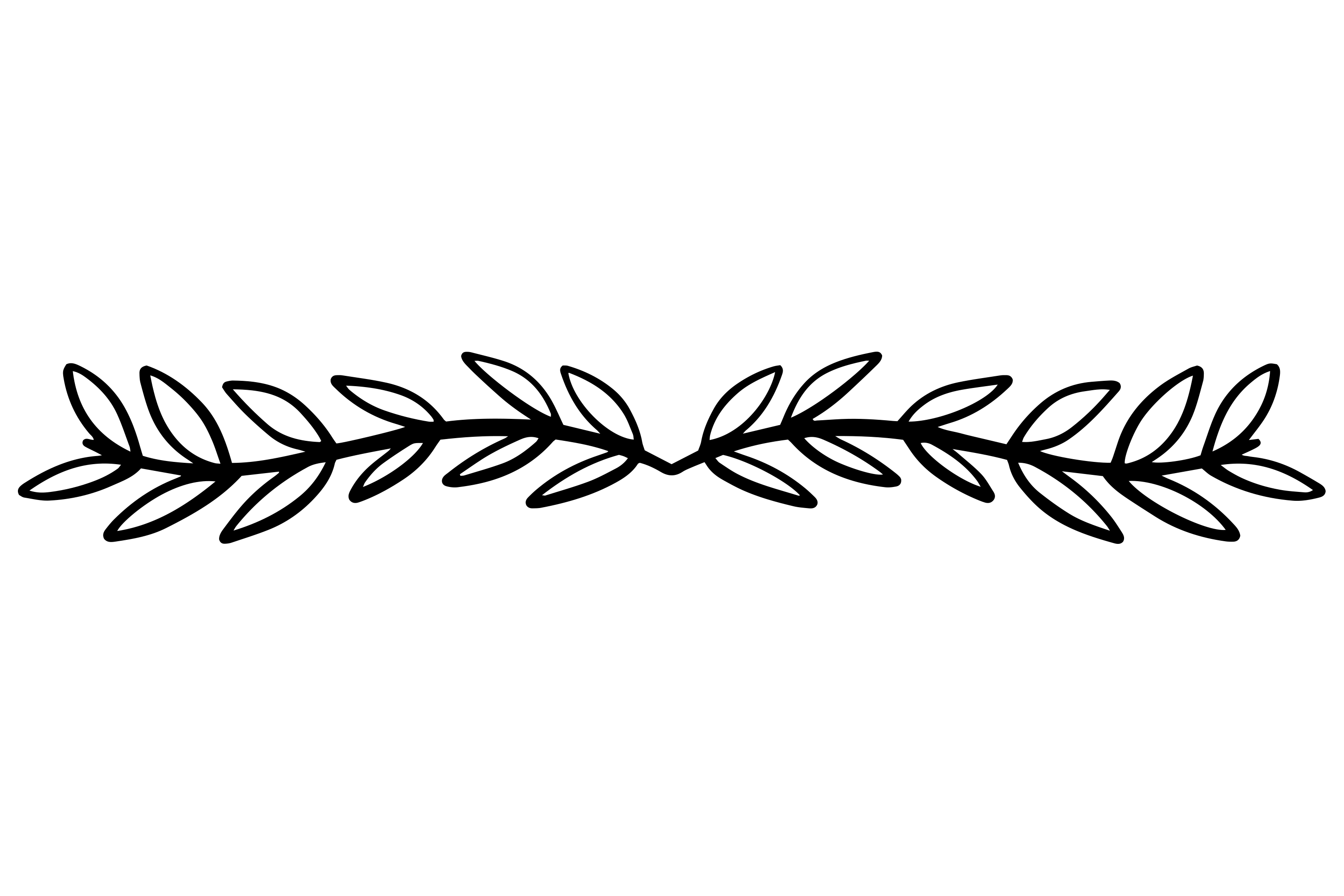 decorative line
